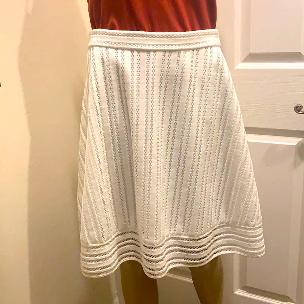J. Crew skirt